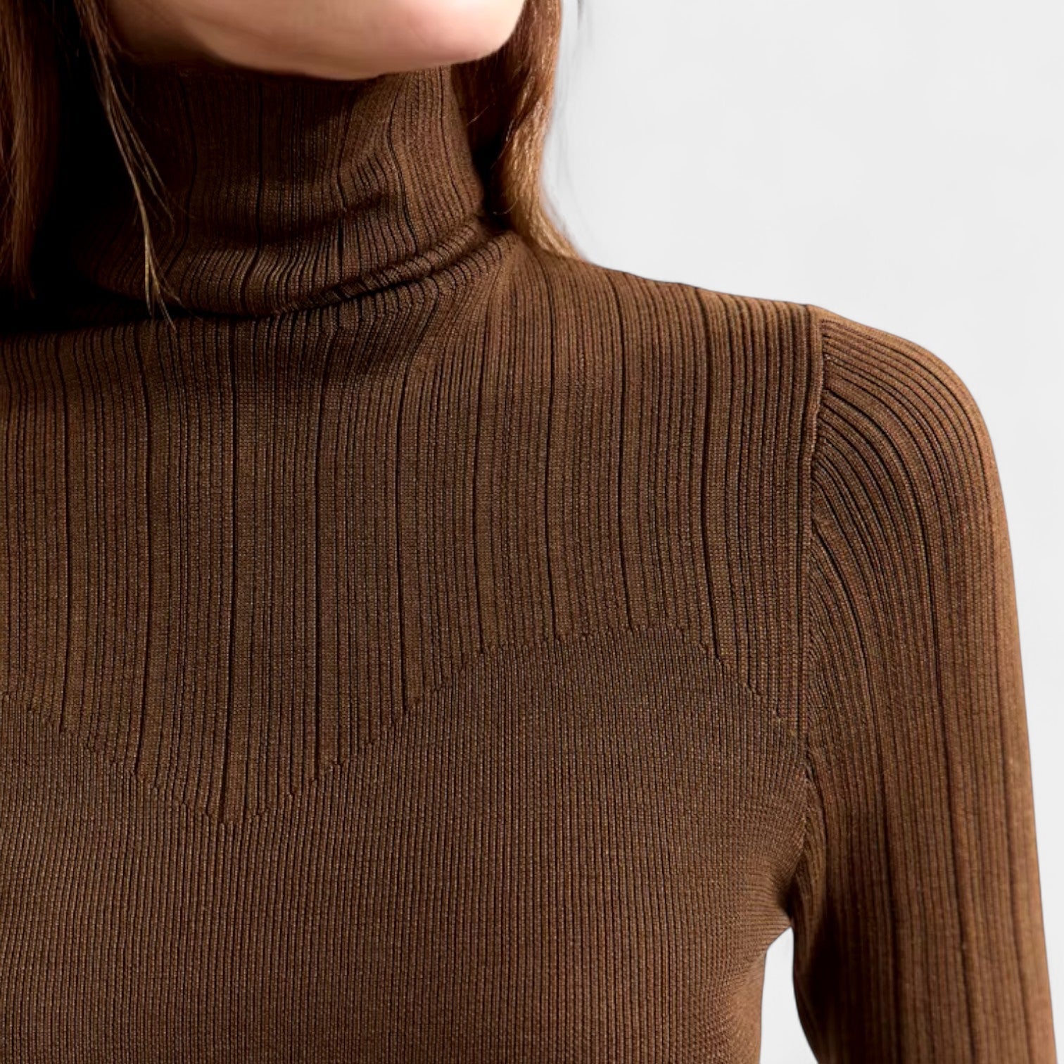 Norrskenberg | Dam Turtlenecktröja i Kashmir–Ull