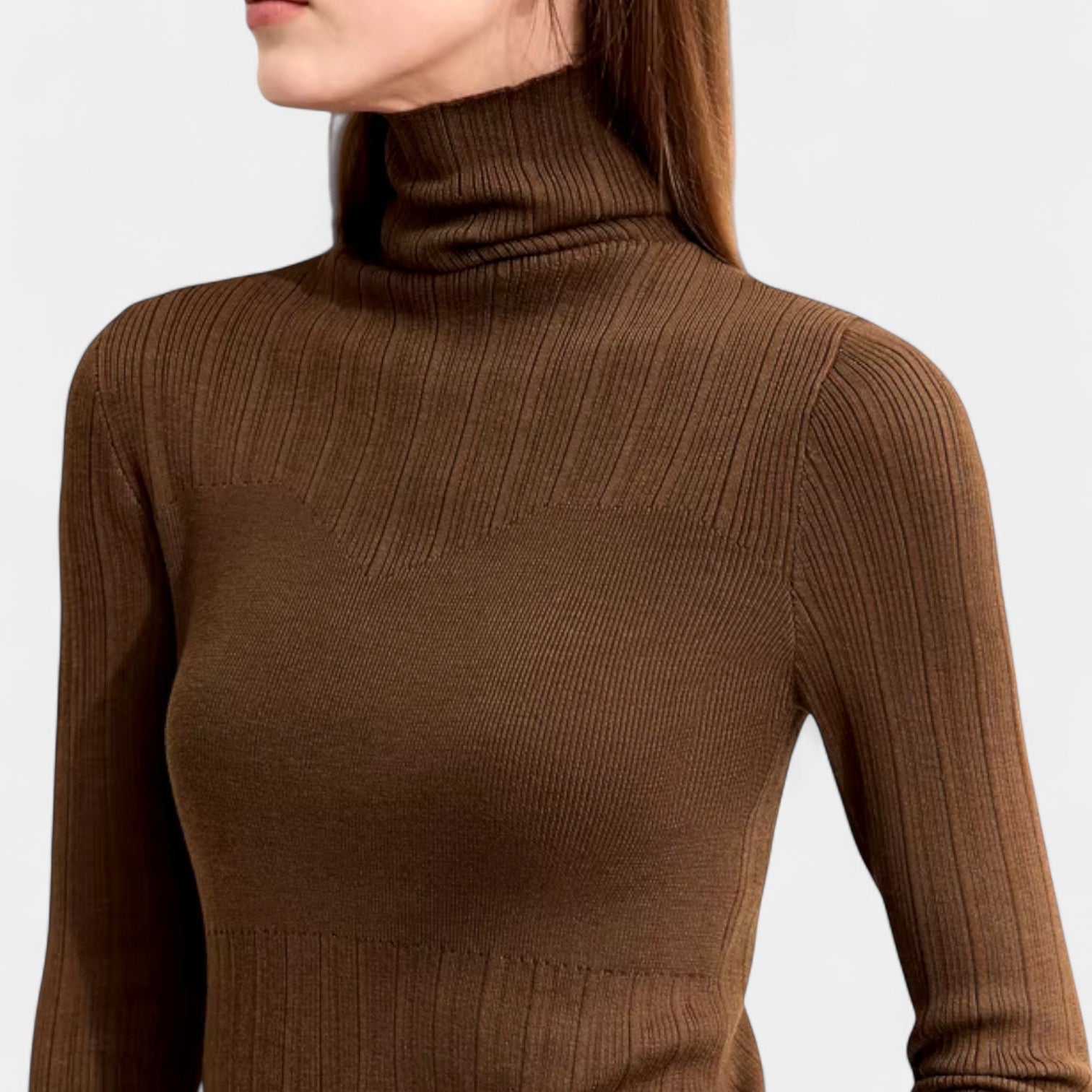 Norrskenberg | Dam Turtlenecktröja i Kashmir–Ull